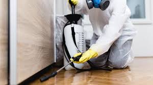 Best Residential Pest Control  in Coal Grove, OH